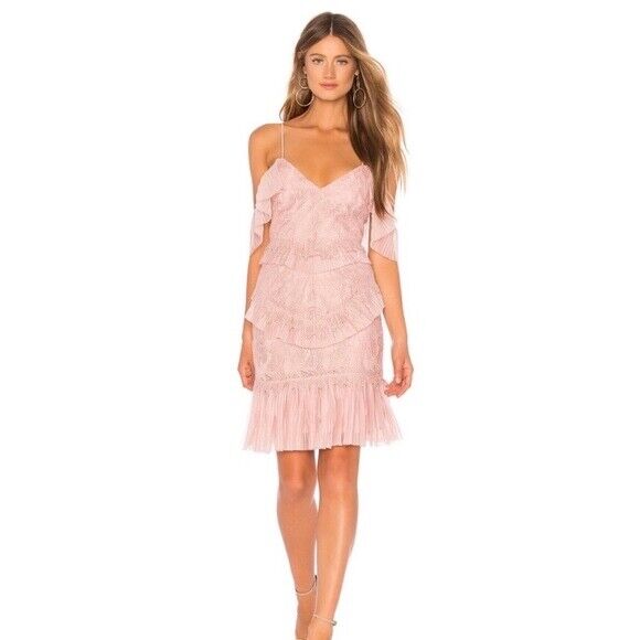 BARDOT Women's Valorie Inset Lace Pleated Ruffled Sheath Dress 10/S