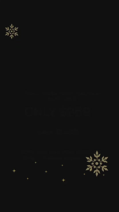 🎄 BEST CHRISTMAS DEAL ON THEORY — OutletDesigners.com 🎄